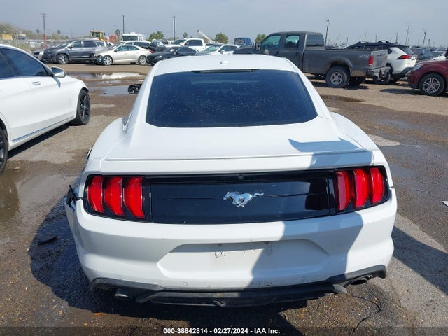 Ford Mustang Ecoboost Fastback 2020 1FA6P8TH6L5103877 Image 16