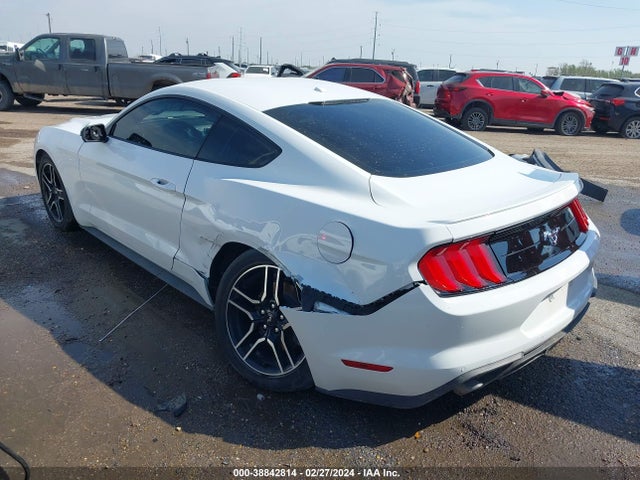 Ford Mustang Ecoboost Fastback 2020 1FA6P8TH6L5103877 Image 3