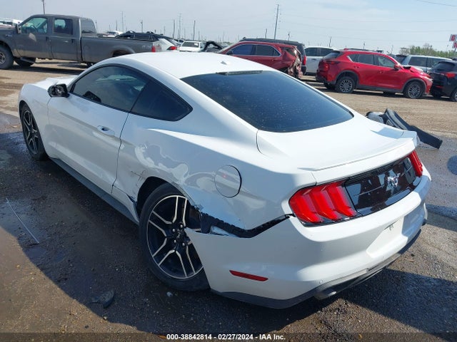 Ford Mustang Ecoboost Fastback 2020 1FA6P8TH6L5103877 Image 6