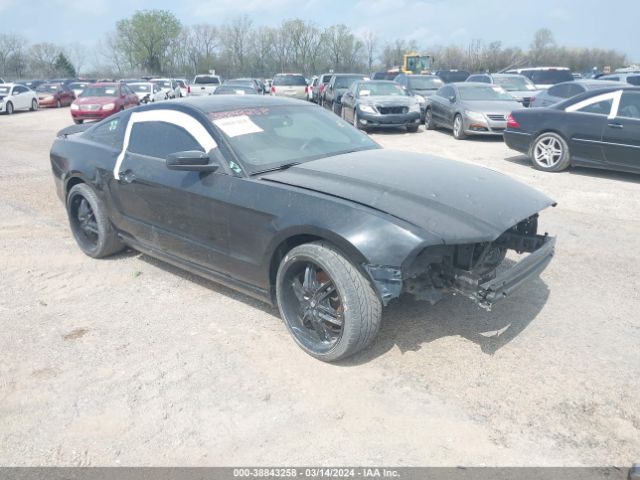 1ZVBP8AM2E5249184 auction archive image