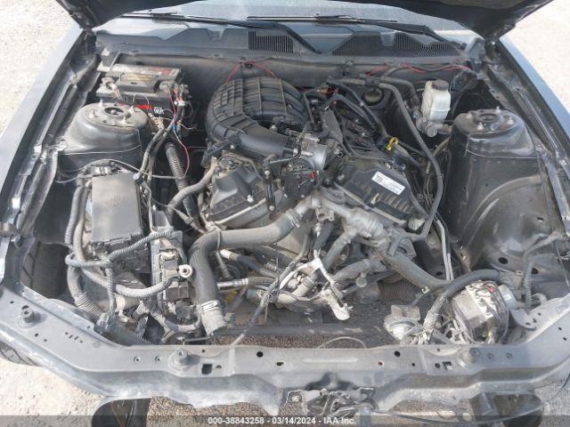 1ZVBP8AM2E5249184 Ford Mustang V6 Premium