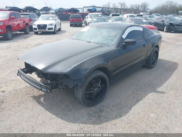 1ZVBP8AM2E5249184 Ford Mustang V6 Premium