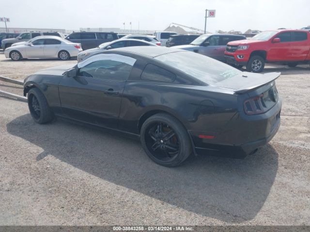 1ZVBP8AM2E5249184 Ford Mustang V6 Premium