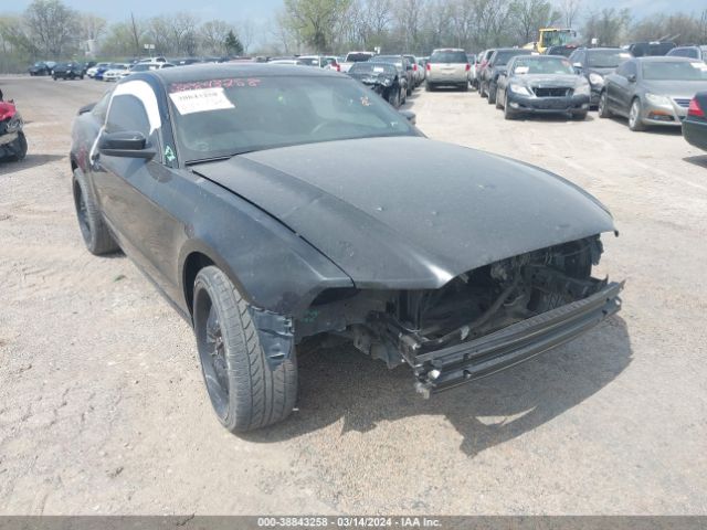 1ZVBP8AM2E5249184 Ford Mustang V6 Premium
