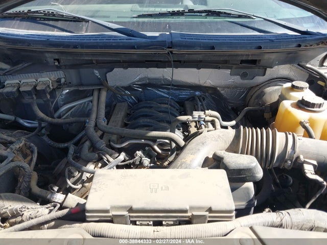 2013 FORD F-150 XLT VIN: 1FTFX1CF0DKG51795
