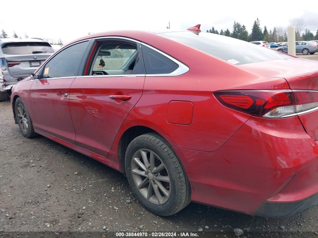 Hyundai SONATA SE 2019 5NPE24AF9KH755678 Image 13