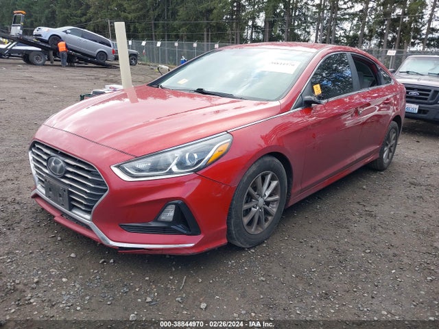 Hyundai SONATA SE 2019 5NPE24AF9KH755678 Image 2