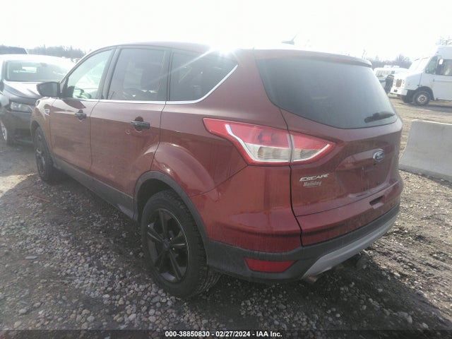 Ford ESCAPE SE 2016 1FMCU9G90GUB16405 Image 3