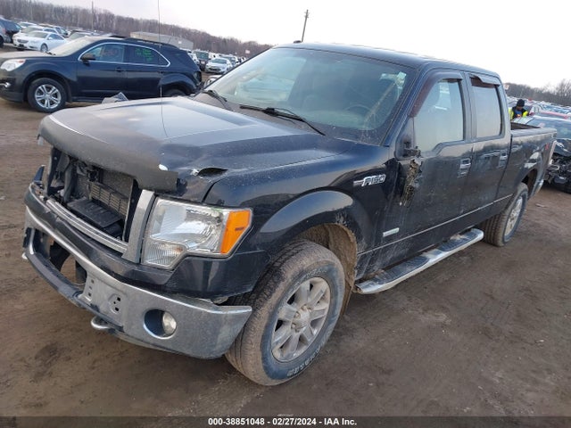 Ford F-150 Xlt 2014 1FTFW1ET6EFB19502 Image 2