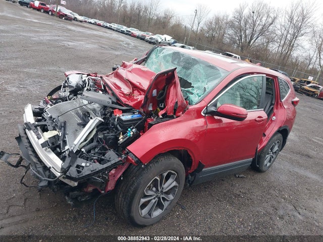 Honda Cr-v Awd Ex-l 2022 5J6RW2H89NA010839 Image 6