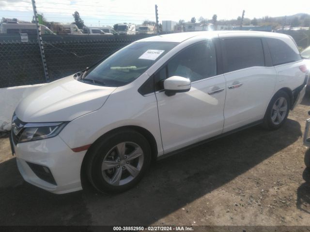 5FNRL6H56JB013856 Honda ODYSSEY EX