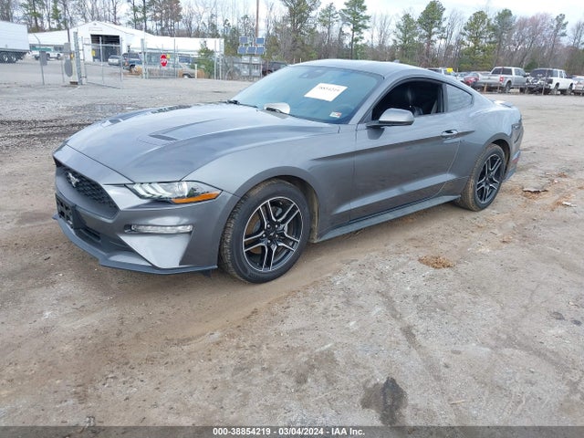 Ford Mustang Ecoboost Premium Fastback 2022 1FA6P8TH9N5100667 Image 2