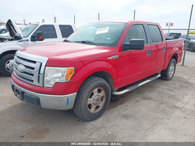 2009 FORD F-150 XL/XLT VIN: 1FTRW12809FA92719