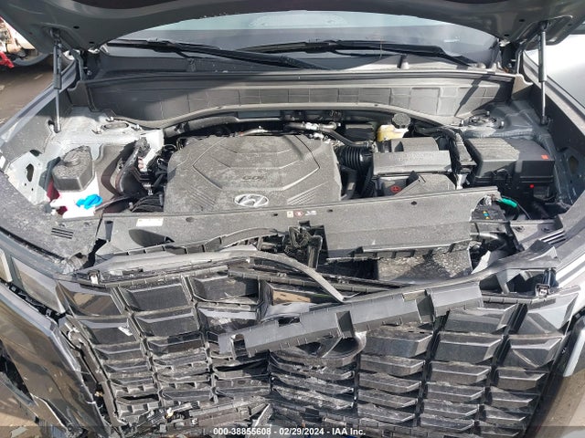 Hyundai Palisade Sel 2024 KM8R4DGE1RU667276 Image 10