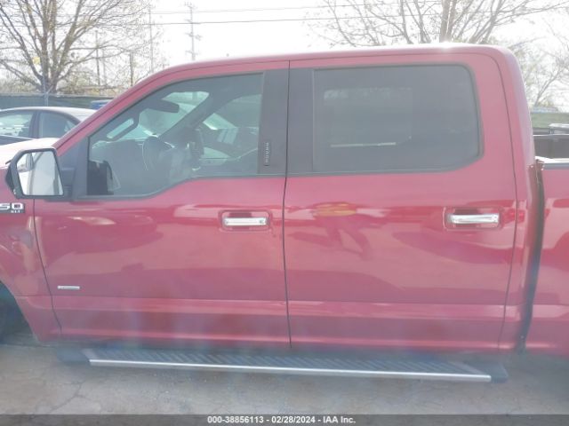 1FTEW1CP1FKE02755 Ford F-150 Xlt