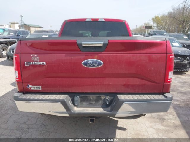 1FTEW1CP1FKE02755 Ford F-150 Xlt