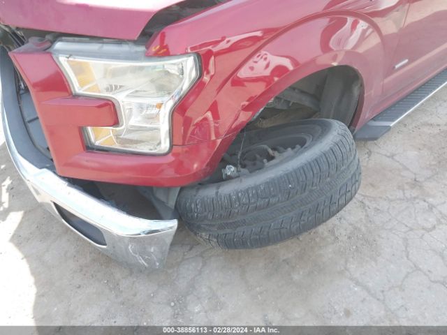 1FTEW1CP1FKE02755 Ford F-150 Xlt
