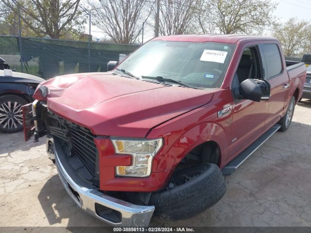1FTEW1CP1FKE02755 Ford F-150 Xlt