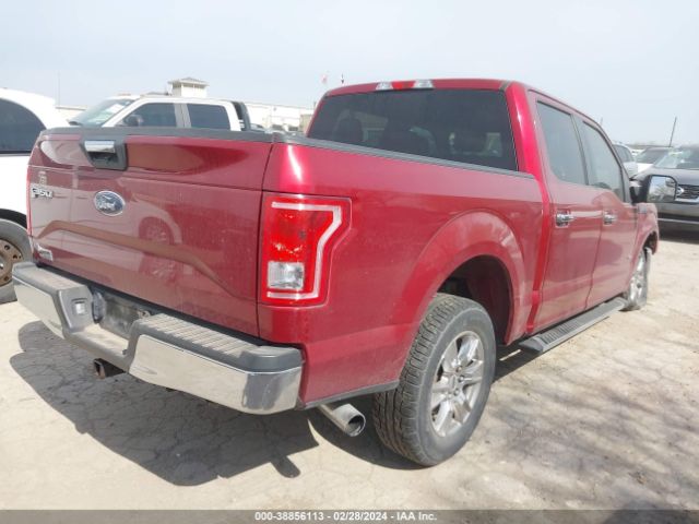 1FTEW1CP1FKE02755 Ford F-150 Xlt