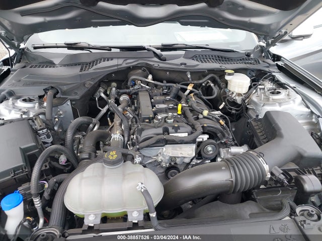 Ford Mustang Ecoboost Fastback 2023 1FA6P8TH9P5101997 Image 10