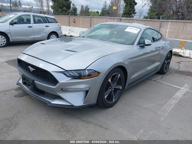 Ford Mustang Ecoboost Fastback 2023 1FA6P8TH9P5101997 Image 2