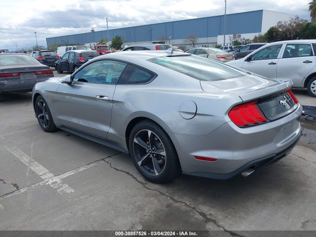 Ford Mustang Ecoboost Fastback 2023 1FA6P8TH9P5101997 Image 3
