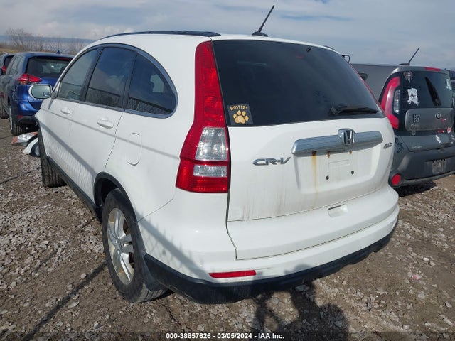 2010 HONDA CR-V EX-L VIN: 5J6RE4H72AL025784