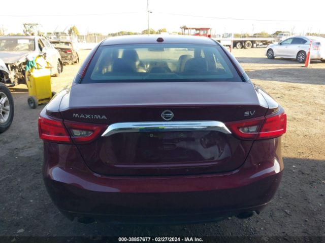 1N4AA6AP6JC381083 Nissan Maxima 3.5 Sv