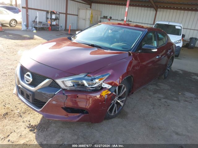 1N4AA6AP6JC381083 Nissan Maxima 3.5 Sv