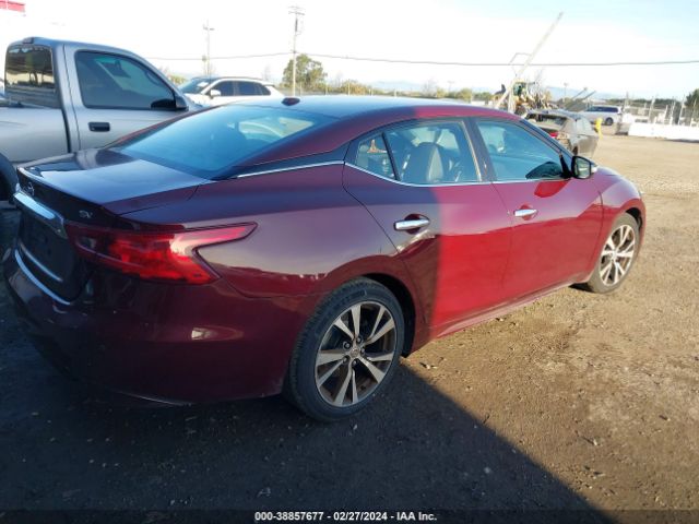 1N4AA6AP6JC381083 Nissan Maxima 3.5 Sv