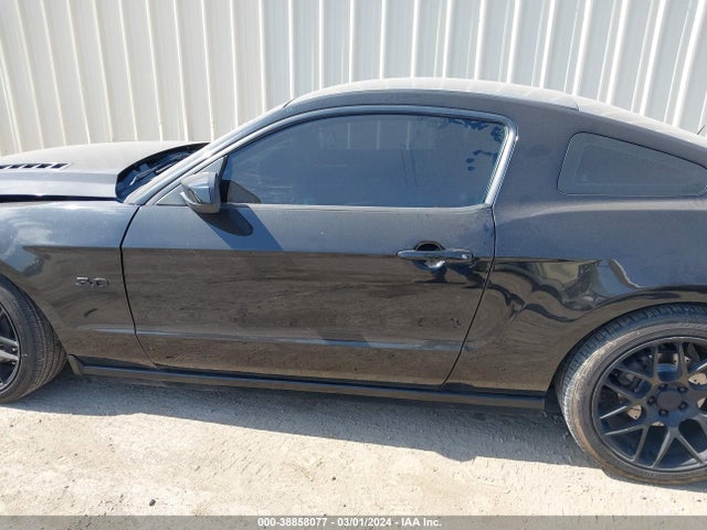 Ford MUSTANG GT 2014 1ZVBP8CF8E5271642 Image 14
