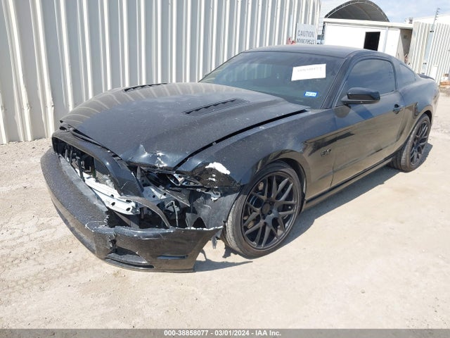Ford MUSTANG GT 2014 1ZVBP8CF8E5271642 Image 2