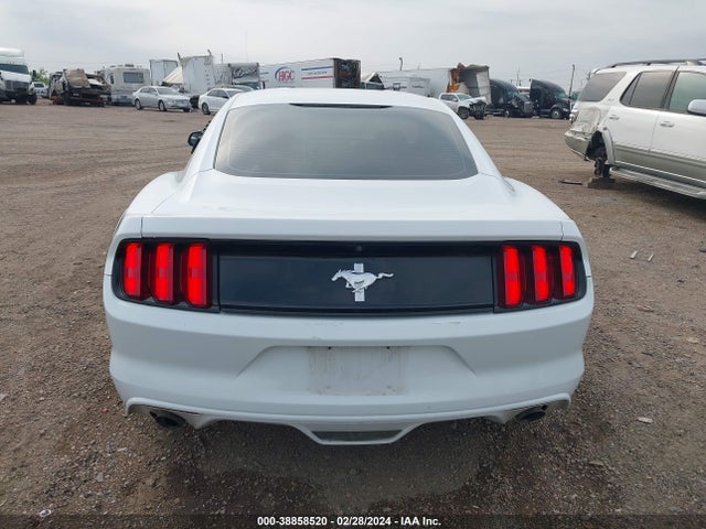 Ford Mustang V6 2017 1FA6P8AM0H5309655 Image 17