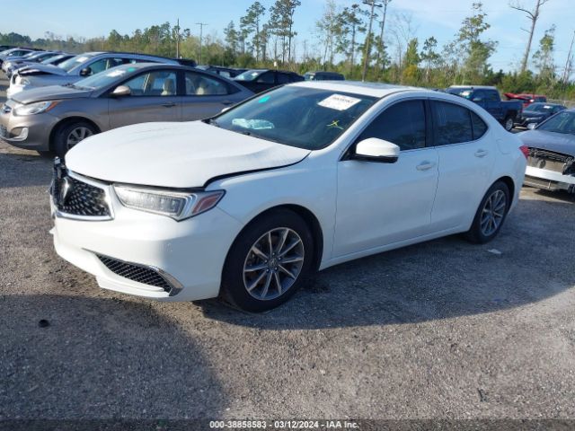 19UUB1F34KA002822 Acura Tlx Standard