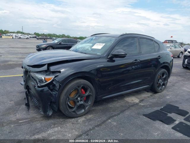2022 ALFA ROMEO STELVIO ZASPAKBN7N7D31096 Photo 1