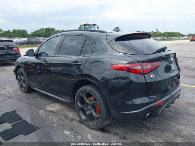 2022 ALFA ROMEO STELVIO ZASPAKBN7N7D31096 Photo 2