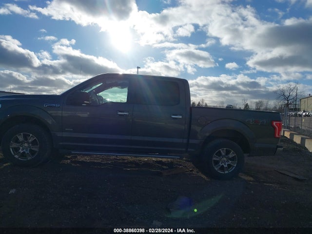 Ford F-150 Xlt 2015 1FTEW1EP4FFC75070 Image 14