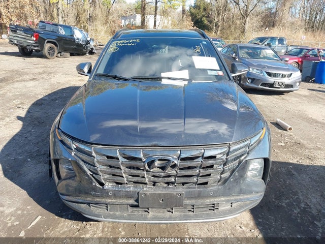 Hyundai Tucson Limited 2023 5NMJECAE5PH251446 Image 12