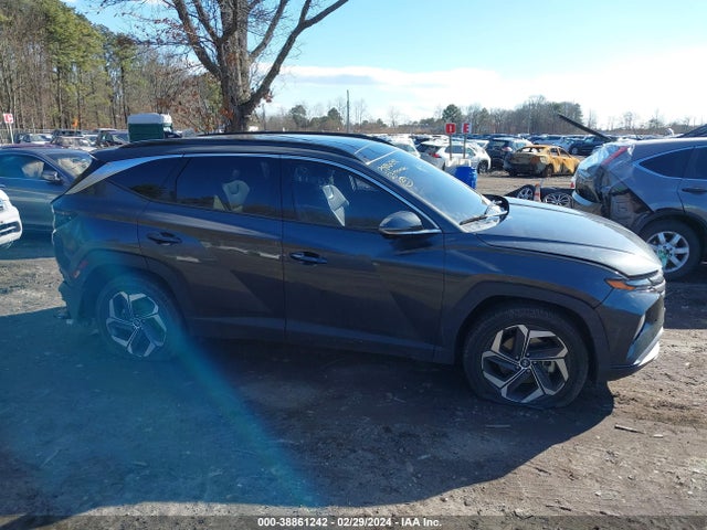 Hyundai Tucson Limited 2023 5NMJECAE5PH251446 Image 13