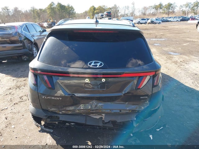 Hyundai Tucson Limited 2023 5NMJECAE5PH251446 Image 16