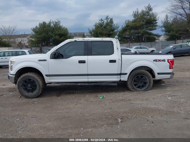 Ford F-150 Xlt 2016 1FTEW1EF1GFC59241 Image 14