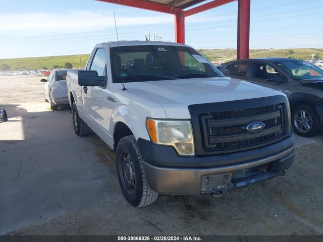 2013 FORD F-150 XL VIN: 1FTMF1EF5DKG41674