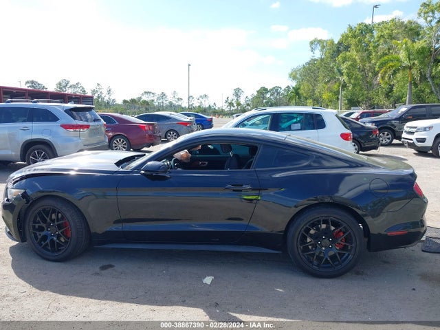 Ford Mustang V6 2016 1FA6P8AM9G5331958 Image 14