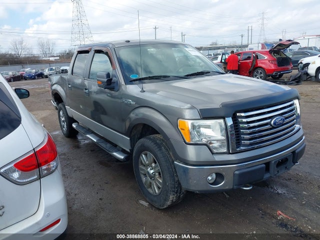 2010 FORD F-150 XLT VIN: 1FTEW1E84AFB25879