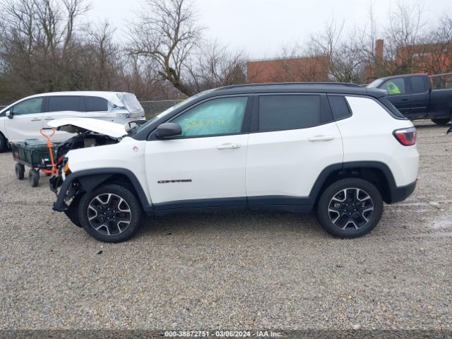 3C4NJDDB6LT195664 Jeep Compass Trailhawk 4x4