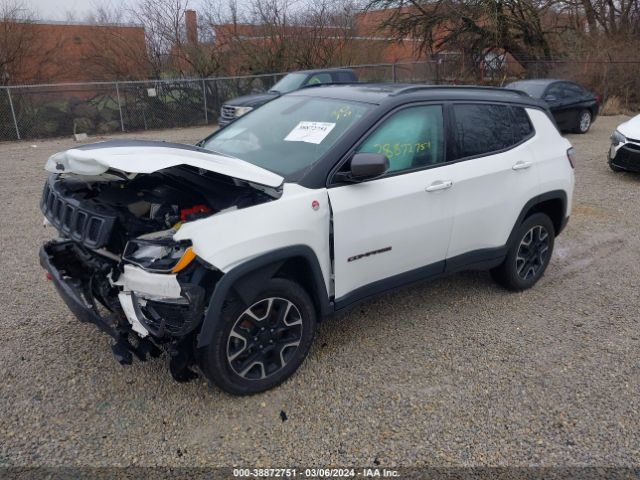 3C4NJDDB6LT195664 Jeep Compass Trailhawk 4x4