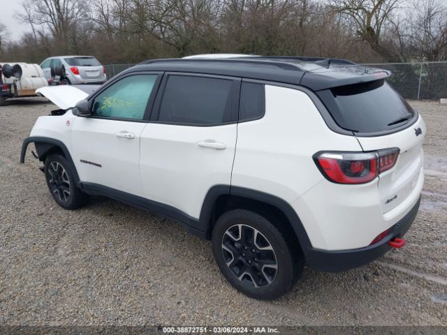 3C4NJDDB6LT195664 Jeep Compass Trailhawk 4x4