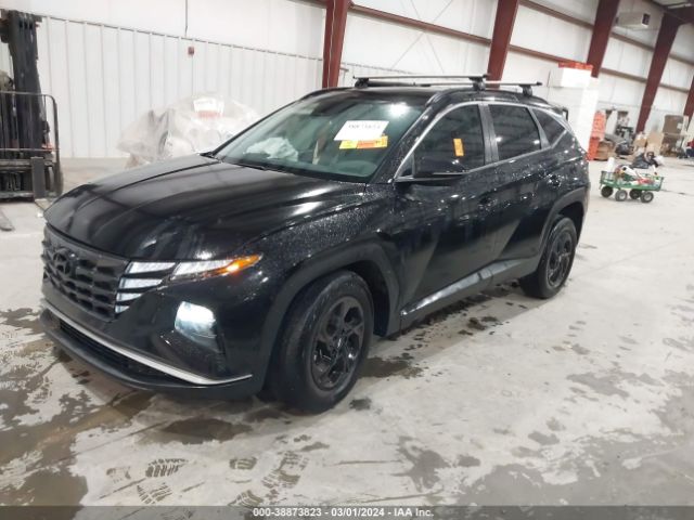 5NMJB3AE9PH205336 Hyundai TUCSON SEL