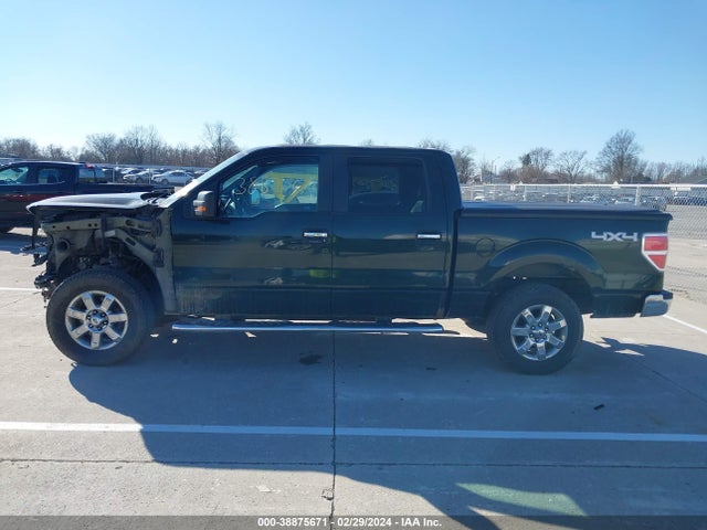 Ford F-150 Xlt 2014 1FTFW1EF7EFC07100 Image 15