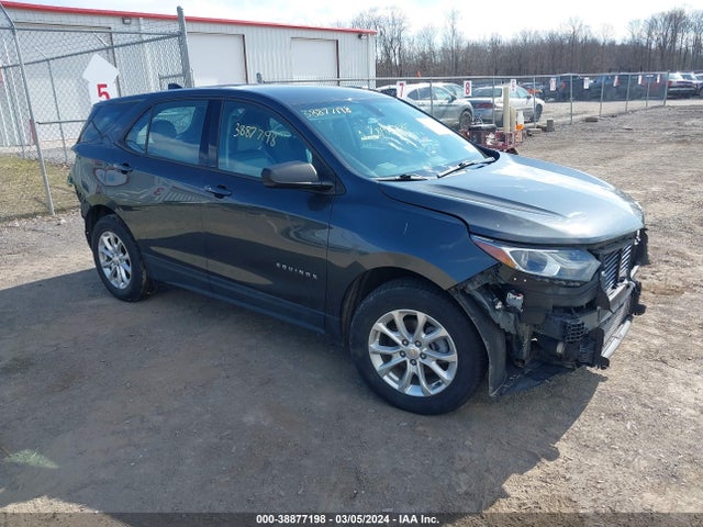 Chevrolet EQUINOX LS 2019 2GNAXSEV3K6155501 головне зображення